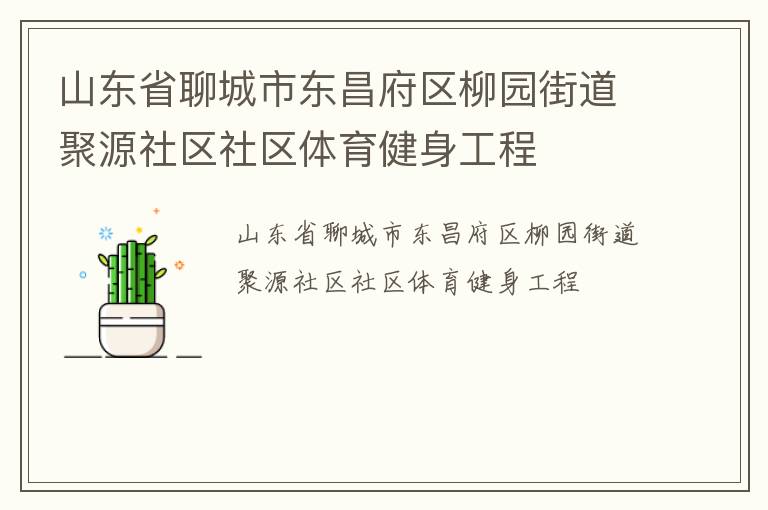 山东省聊城市东昌府区柳园街道聚源社区社区体育健身工程
