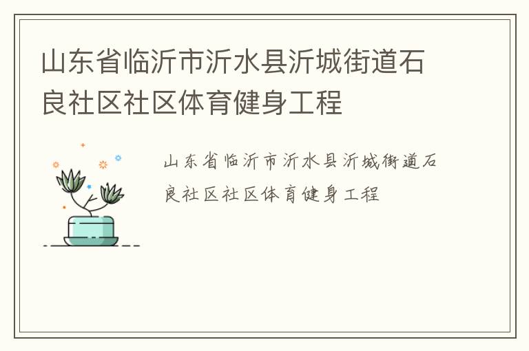 山东省临沂市沂水县沂城街道石良社区社区体育健身工程