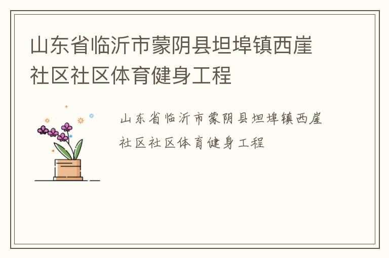山东省临沂市蒙阴县坦埠镇西崖社区社区体育健身工程