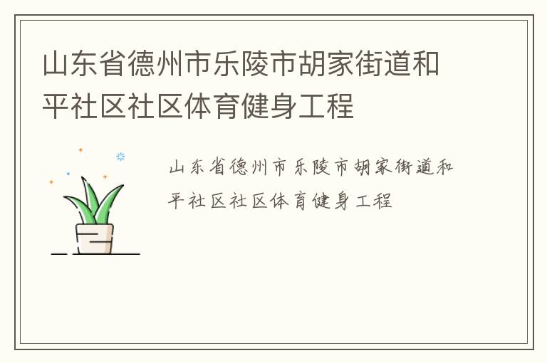 山东省德州市乐陵市胡家街道和平社区社区体育健身工程