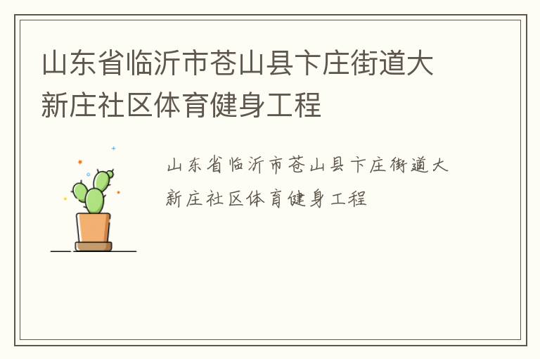 山东省临沂市苍山县卞庄街道大新庄社区体育健身工程