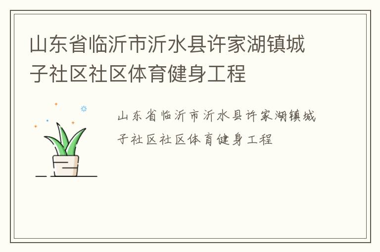 山东省临沂市沂水县许家湖镇城子社区社区体育健身工程