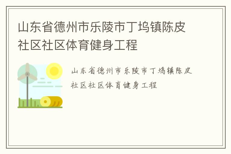 山东省德州市乐陵市丁坞镇陈皮社区社区体育健身工程