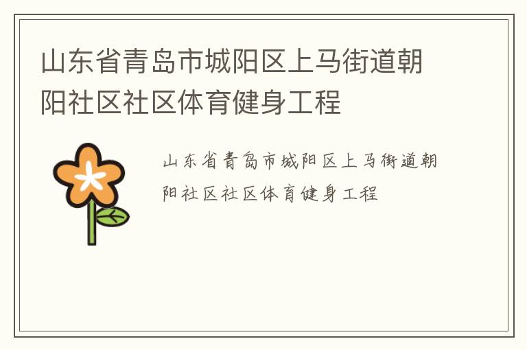 山东省青岛市城阳区上马街道朝阳社区社区体育健身工程