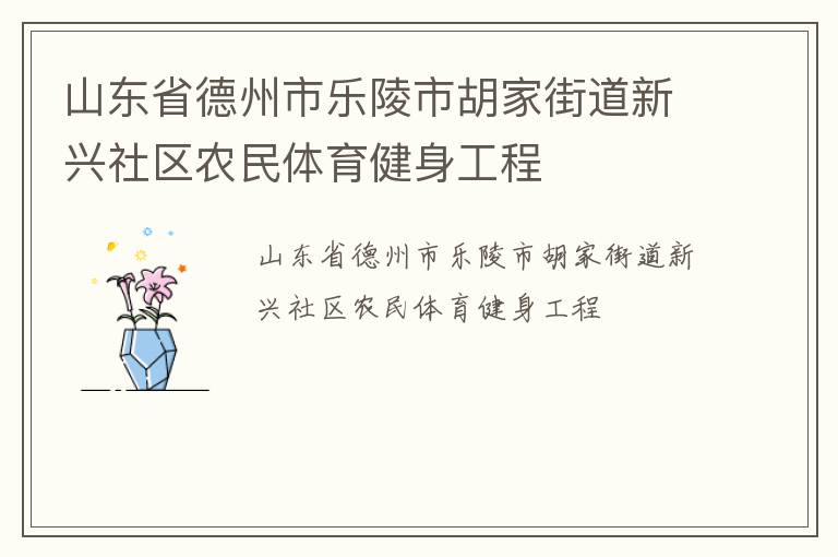 山东省德州市乐陵市胡家街道新兴社区农民体育健身工程