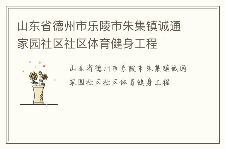 山东省德州市乐陵市朱集镇诚通家园社区社区体育健身工程