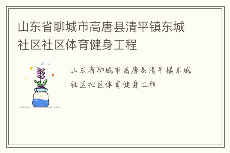 山东省聊城市高唐县清平镇东城社区社区体育健身工程