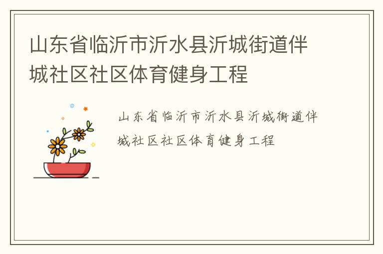 山东省临沂市沂水县沂城街道伴城社区社区体育健身工程