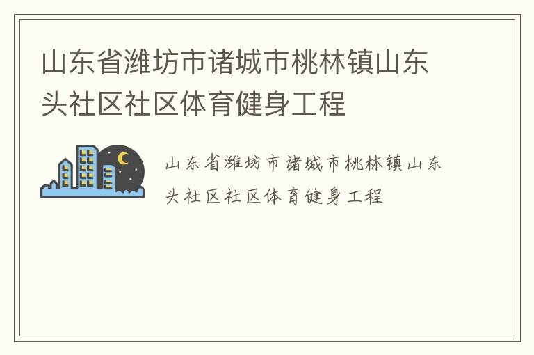 山东省潍坊市诸城市桃林镇山东头社区社区体育健身工程