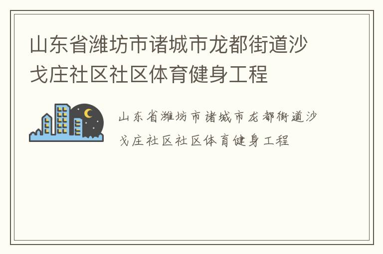 山东省潍坊市诸城市龙都街道沙戈庄社区社区体育健身工程
