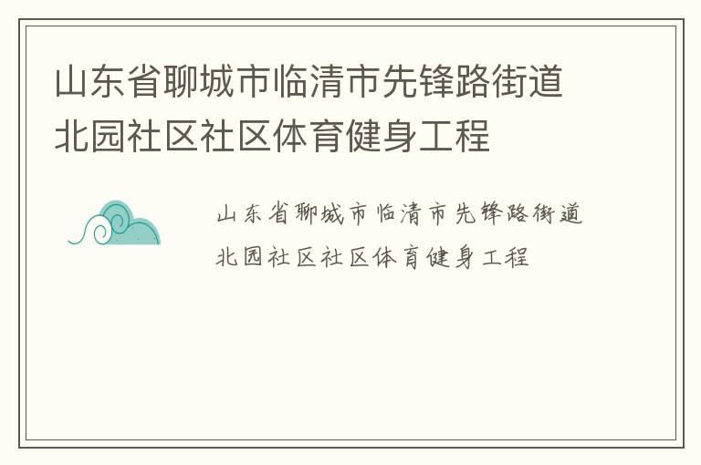 山东省聊城市临清市先锋路街道北园社区社区体育健身工程