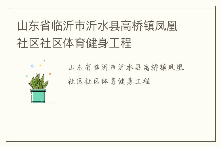 山东省临沂市沂水县高桥镇凤凰社区社区体育健身工程