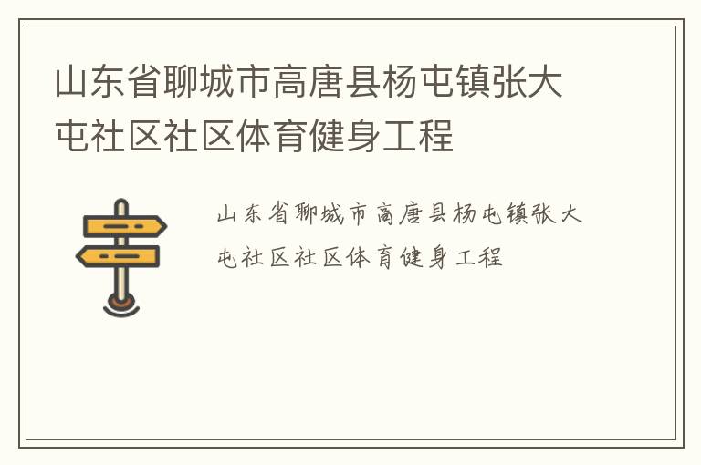 山东省聊城市高唐县杨屯镇张大屯社区社区体育健身工程