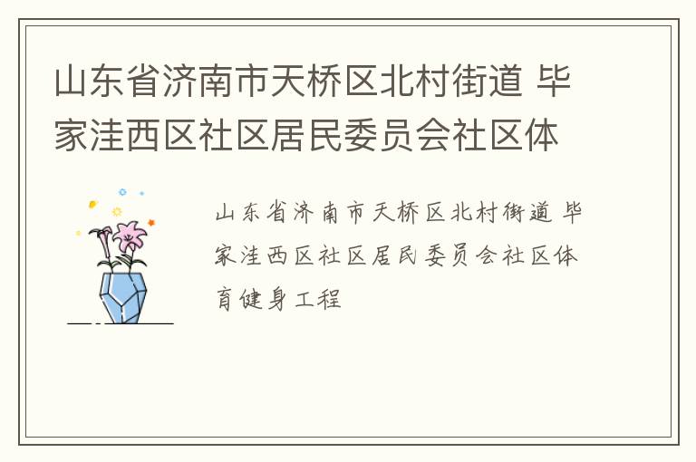 山东省济南市天桥区北村街道 毕家洼西区社区居民委员会社区体育健身工程
