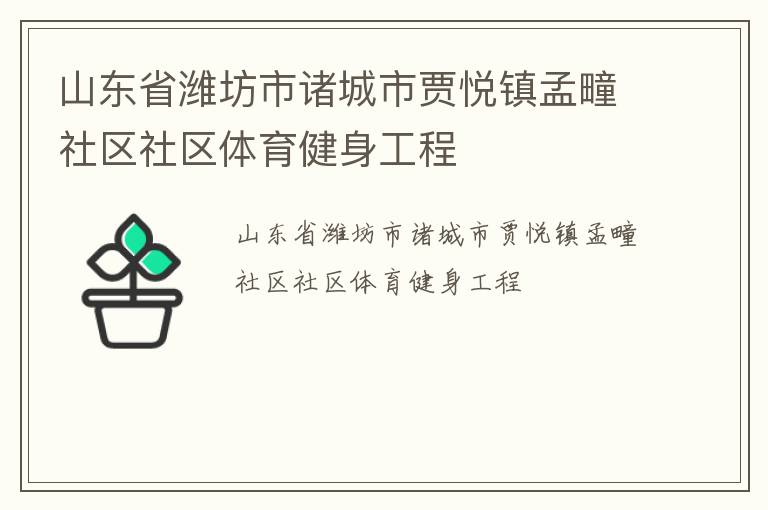 山东省潍坊市诸城市贾悦镇孟疃社区社区体育健身工程