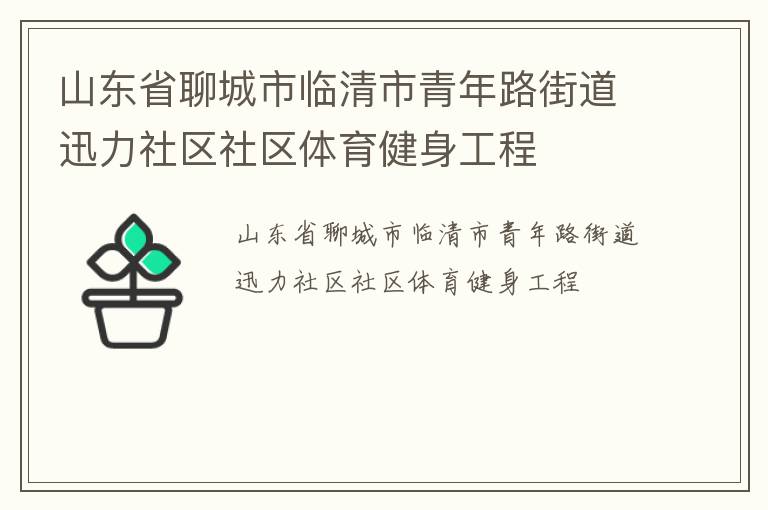 山东省聊城市临清市青年路街道迅力社区社区体育健身工程