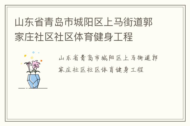 山东省青岛市城阳区上马街道郭家庄社区社区体育健身工程