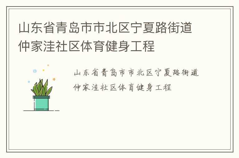 山东省青岛市市北区宁夏路街道仲家洼社区体育健身工程