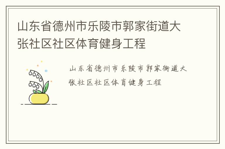山东省德州市乐陵市郭家街道大张社区社区体育健身工程