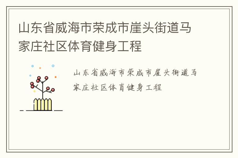山东省威海市荣成市崖头街道马家庄社区体育健身工程