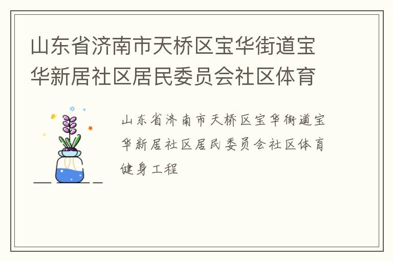 山东省济南市天桥区宝华街道宝华新居社区居民委员会社区体育健身工程