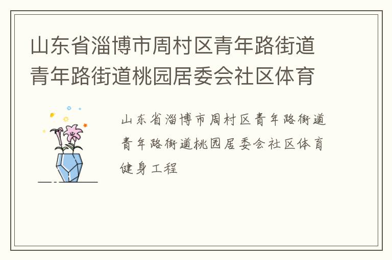 山东省淄博市周村区青年路街道青年路街道桃园居委会社区体育健身工程
