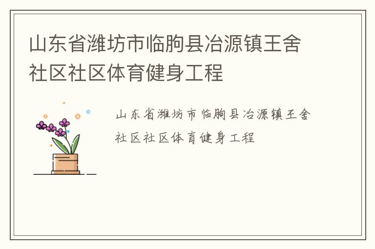 山东省潍坊市临朐县冶源镇王舍社区社区体育健身工程