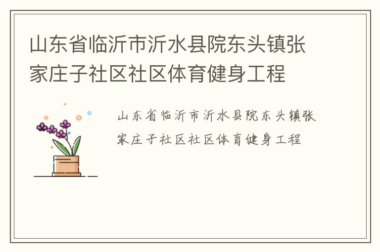 山东省临沂市沂水县院东头镇张家庄子社区社区体育健身工程