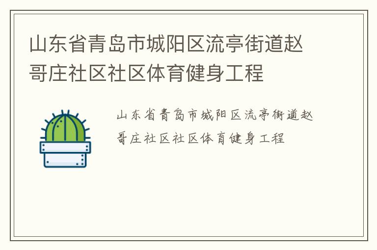 山东省青岛市城阳区流亭街道赵哥庄社区社区体育健身工程