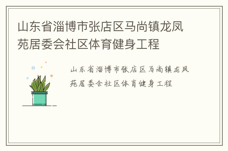 山东省淄博市张店区马尚镇龙凤苑居委会社区体育健身工程