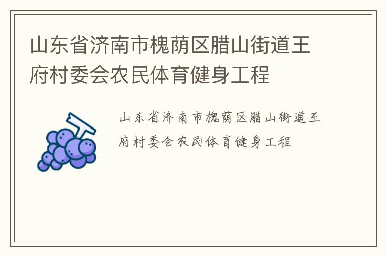 山东省济南市槐荫区腊山街道王府村委会农民体育健身工程