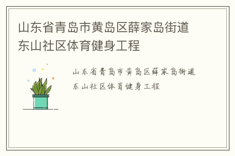 山东省青岛市黄岛区薛家岛街道东山社区体育健身工程
