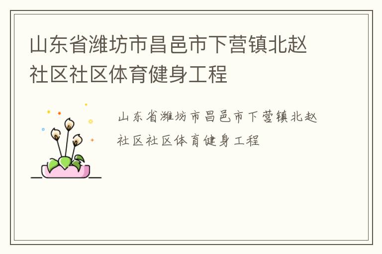 山东省潍坊市昌邑市下营镇北赵社区社区体育健身工程