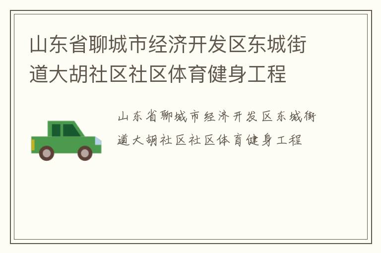 山东省聊城市经济开发区东城街道大胡社区社区体育健身工程