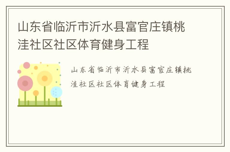 山东省临沂市沂水县富官庄镇桃洼社区社区体育健身工程