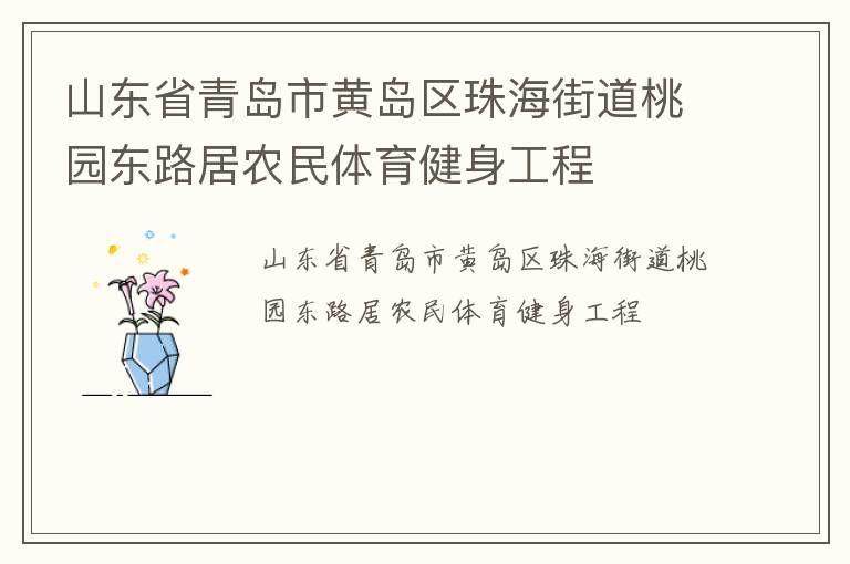 山东省青岛市黄岛区珠海街道桃园东路居农民体育健身工程