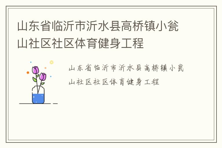 山东省临沂市沂水县高桥镇小瓮山社区社区体育健身工程