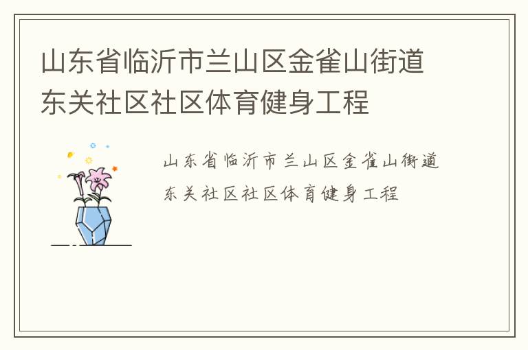 山东省临沂市兰山区金雀山街道东关社区社区体育健身工程