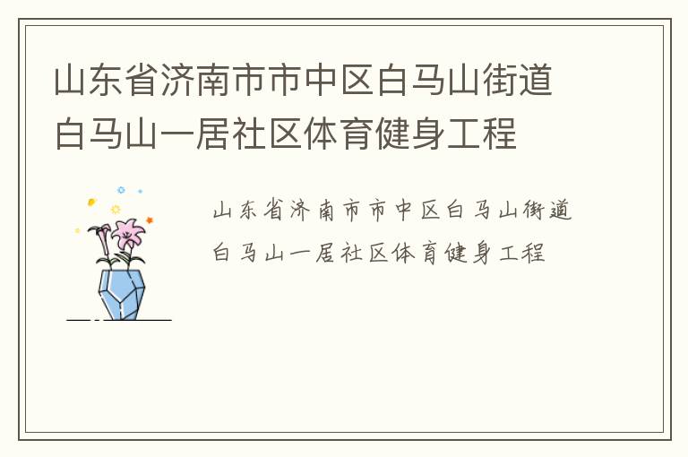 山东省济南市市中区白马山街道白马山一居社区体育健身工程