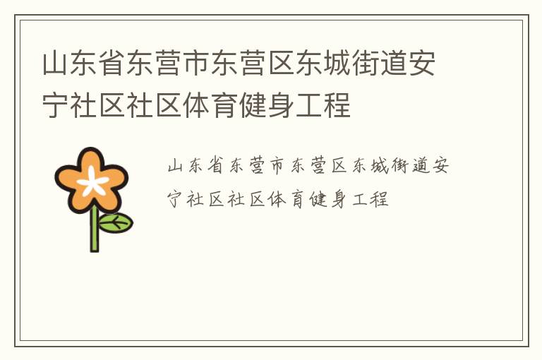 山东省东营市东营区东城街道安宁社区社区体育健身工程