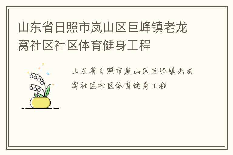 山东省日照市岚山区巨峰镇老龙窝社区社区体育健身工程