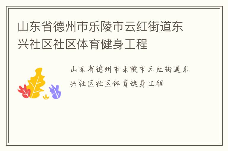 山东省德州市乐陵市云红街道东兴社区社区体育健身工程