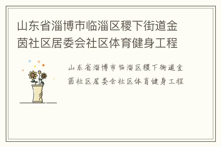 山东省淄博市临淄区稷下街道金茵社区居委会社区体育健身工程