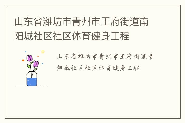 山东省潍坊市青州市王府街道南阳城社区社区体育健身工程