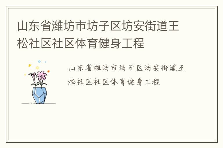 山东省潍坊市坊子区坊安街道王松社区社区体育健身工程