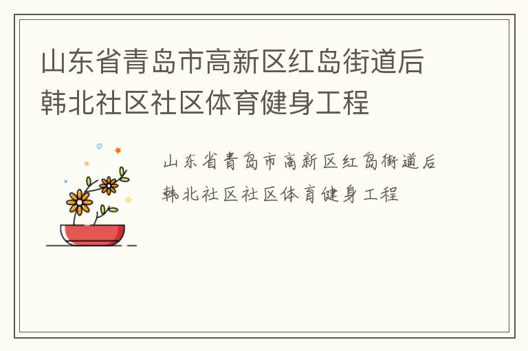 山东省青岛市高新区红岛街道后韩北社区社区体育健身工程
