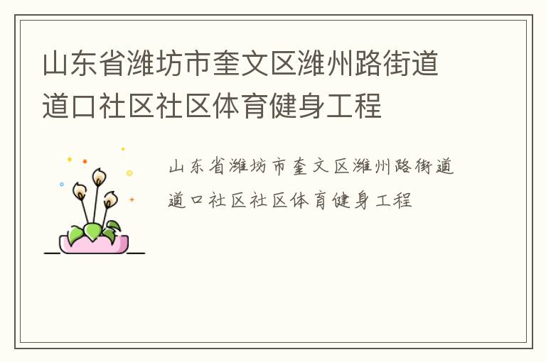 山东省潍坊市奎文区潍州路街道道口社区社区体育健身工程