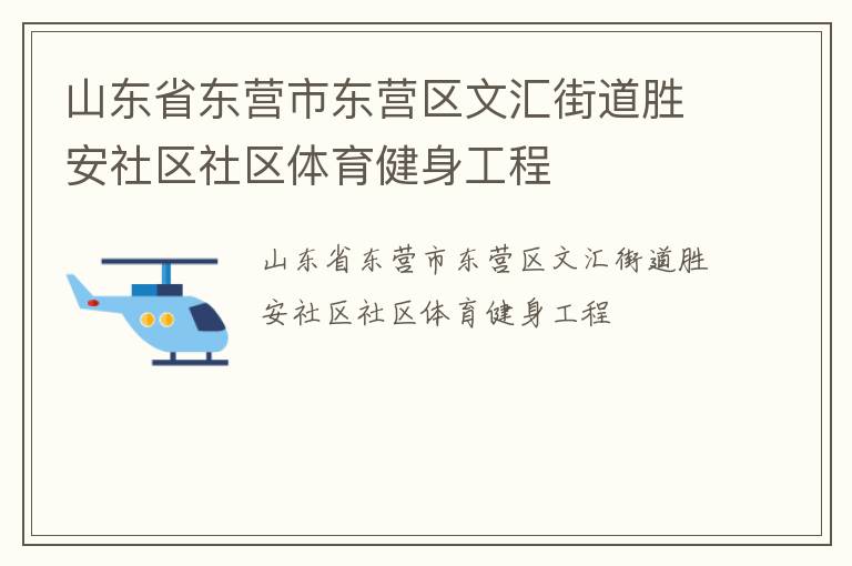 山东省东营市东营区文汇街道胜安社区社区体育健身工程