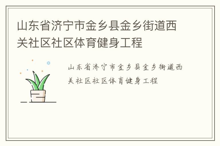 山东省济宁市金乡县金乡街道西关社区社区体育健身工程