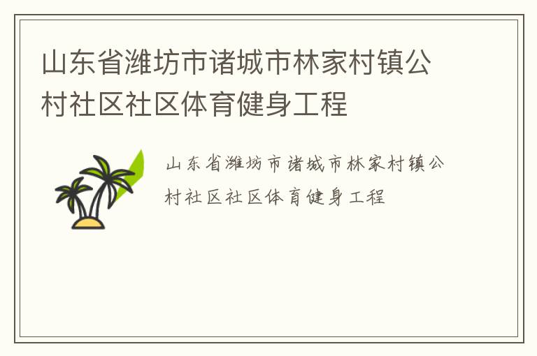 山东省潍坊市诸城市林家村镇公村社区社区体育健身工程